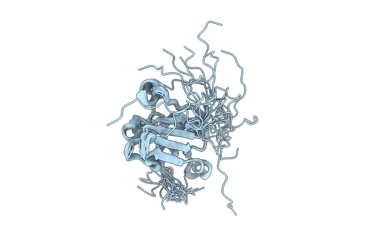 5OBN image