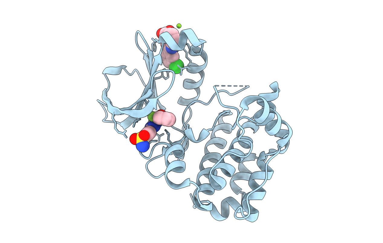 5OBR image