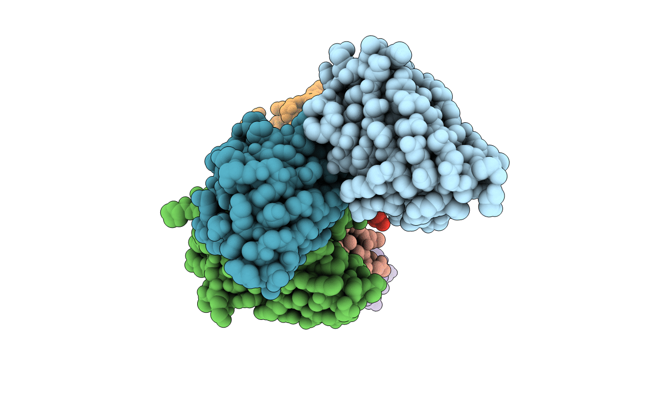 5OCL image