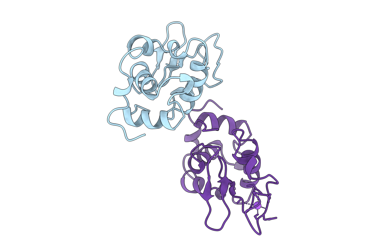 5OCV image