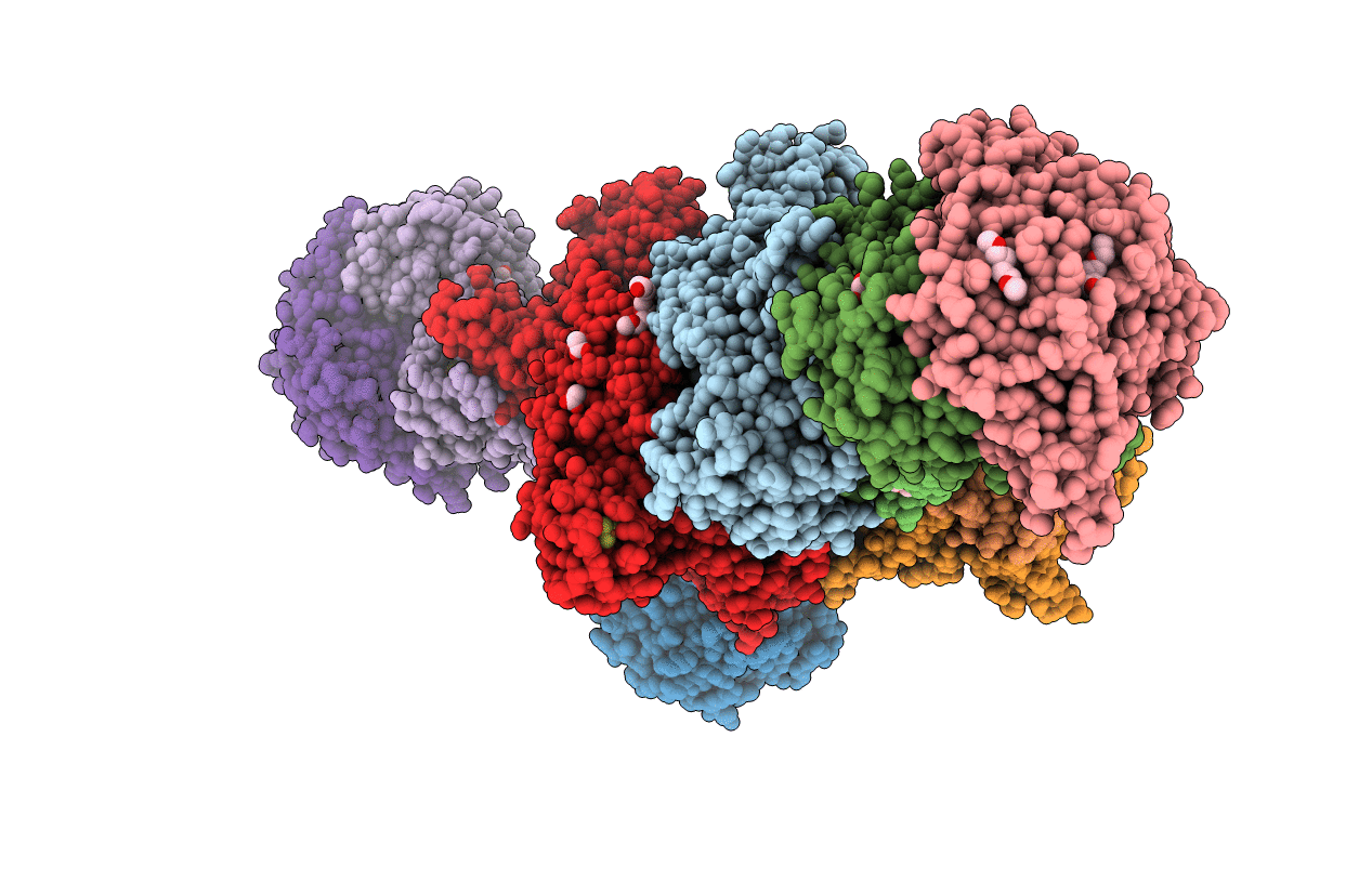 5ODH image