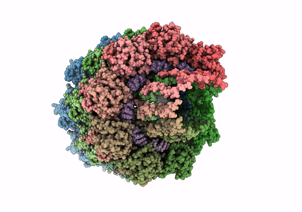 5ODV image