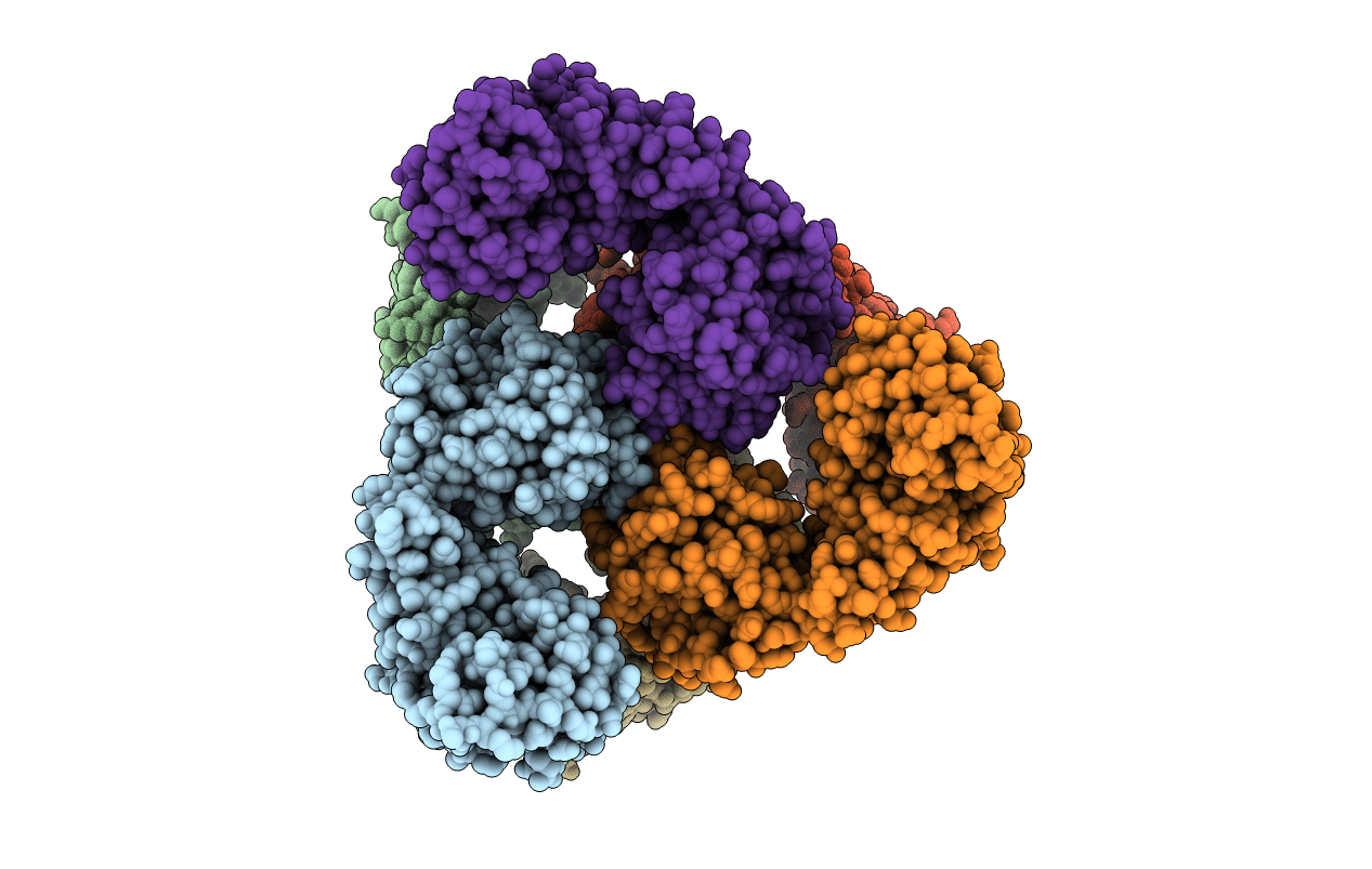 5OEB image