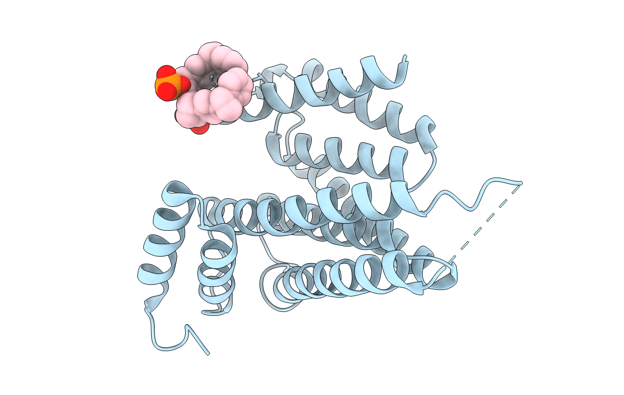 5OEG image