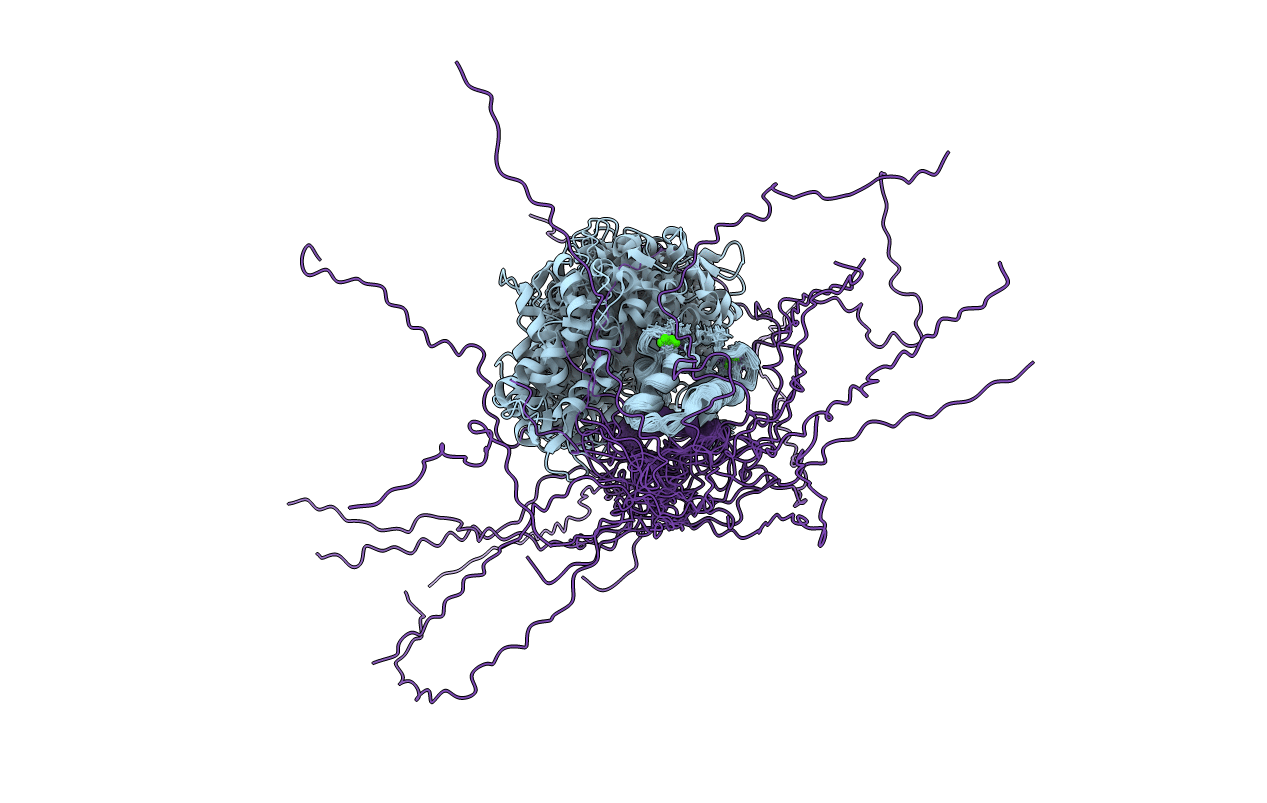 5OEO image