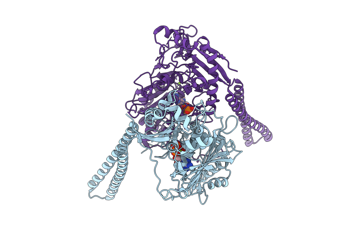 5OFB image