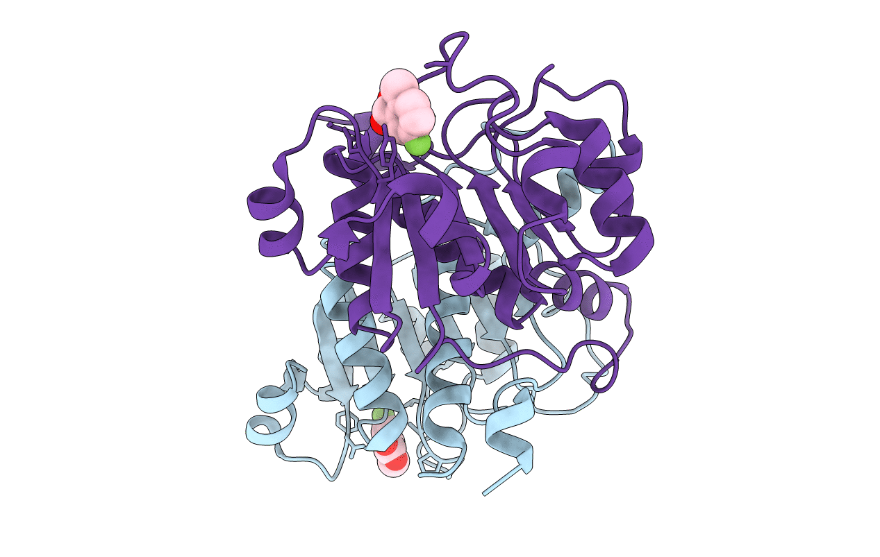 5OFV image