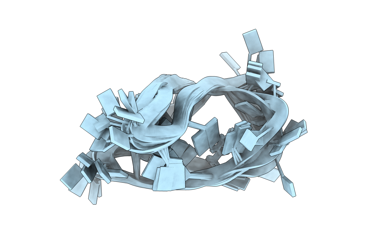 5OGA image