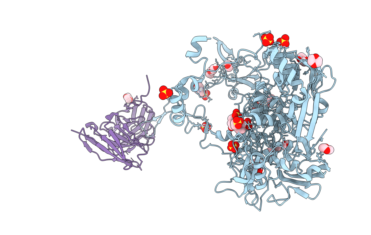5OGI image