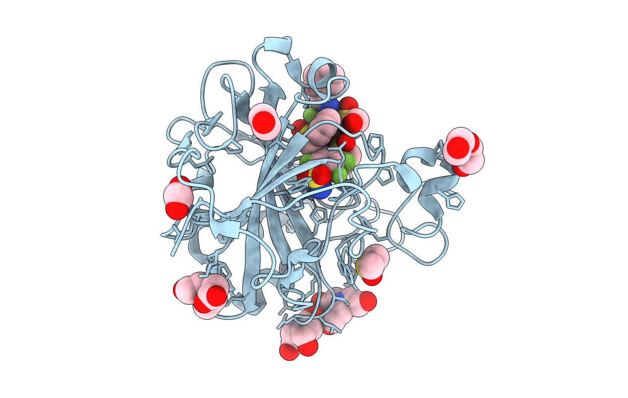 5OGO image