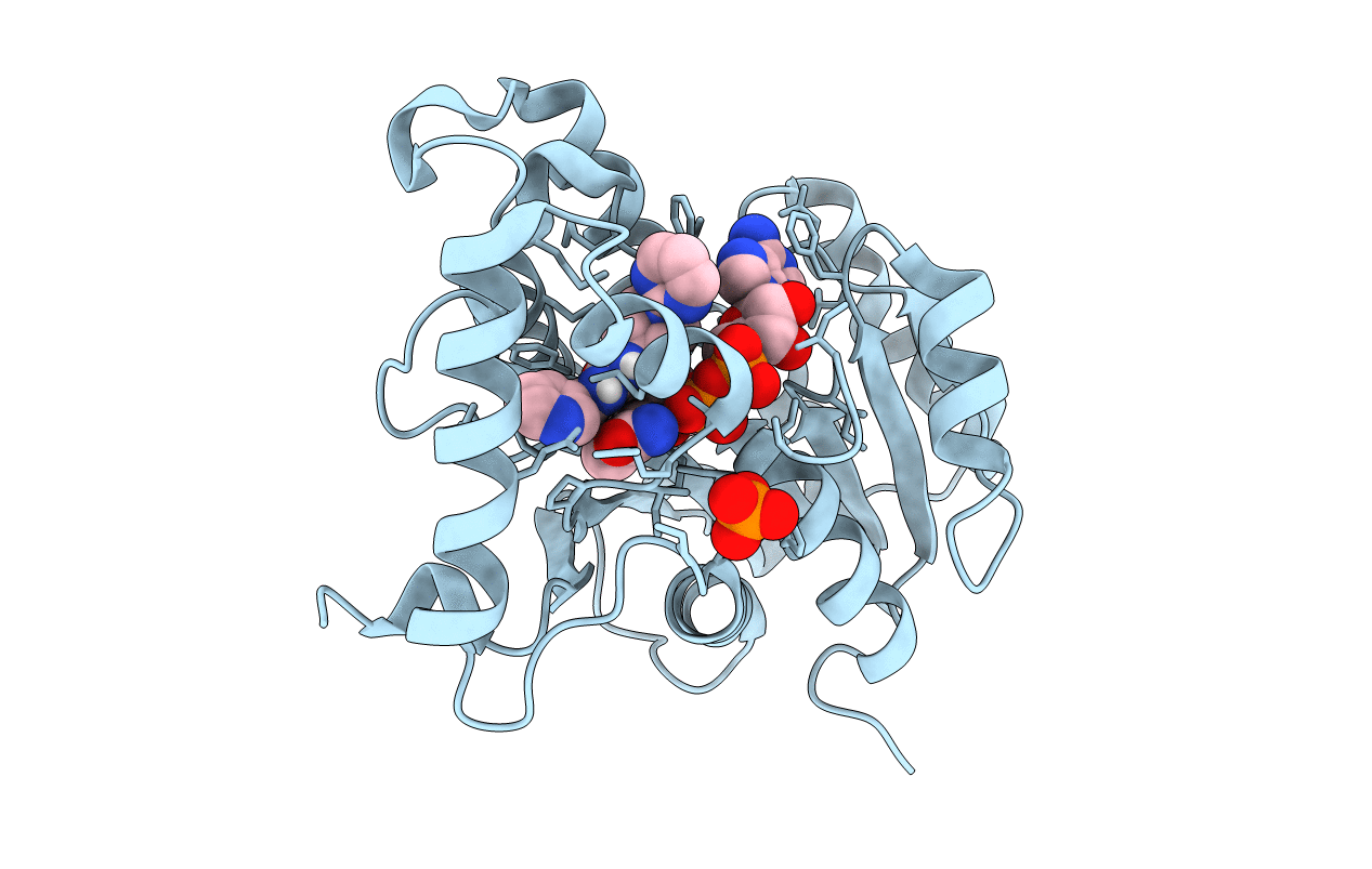 5OIP image