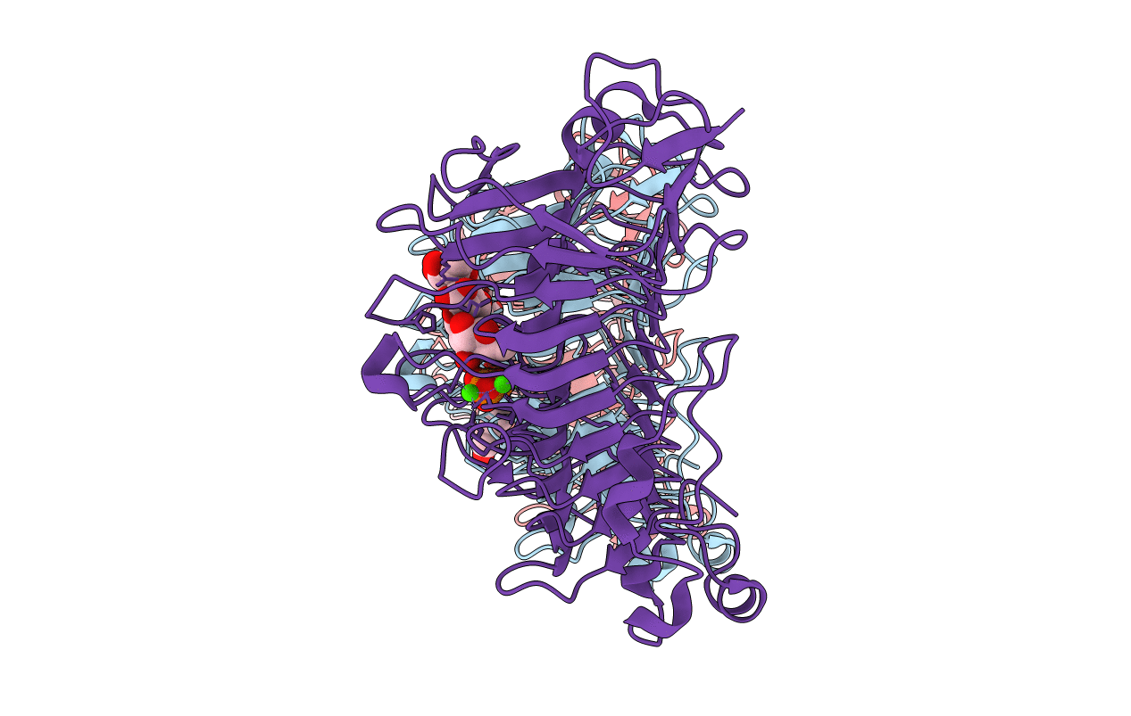 5OLR image