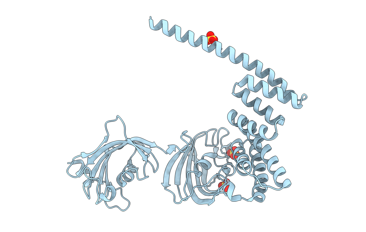 5OMP image