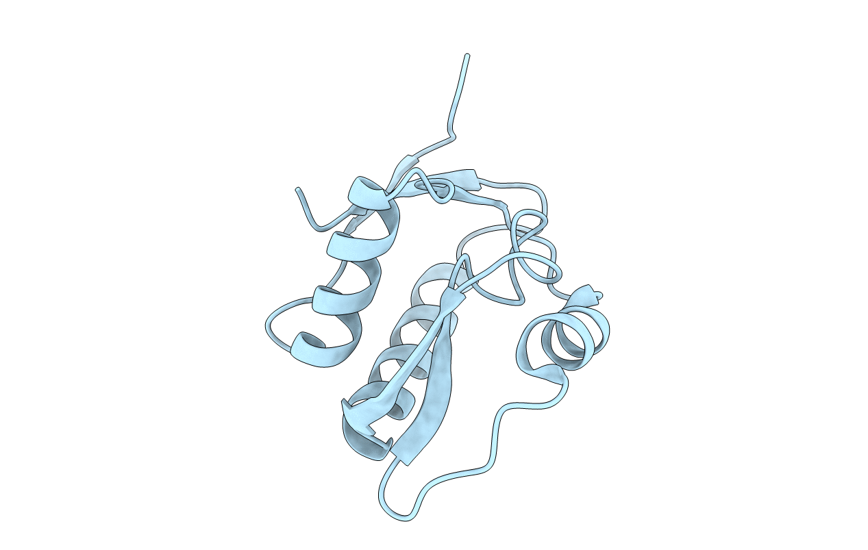 5OMT image
