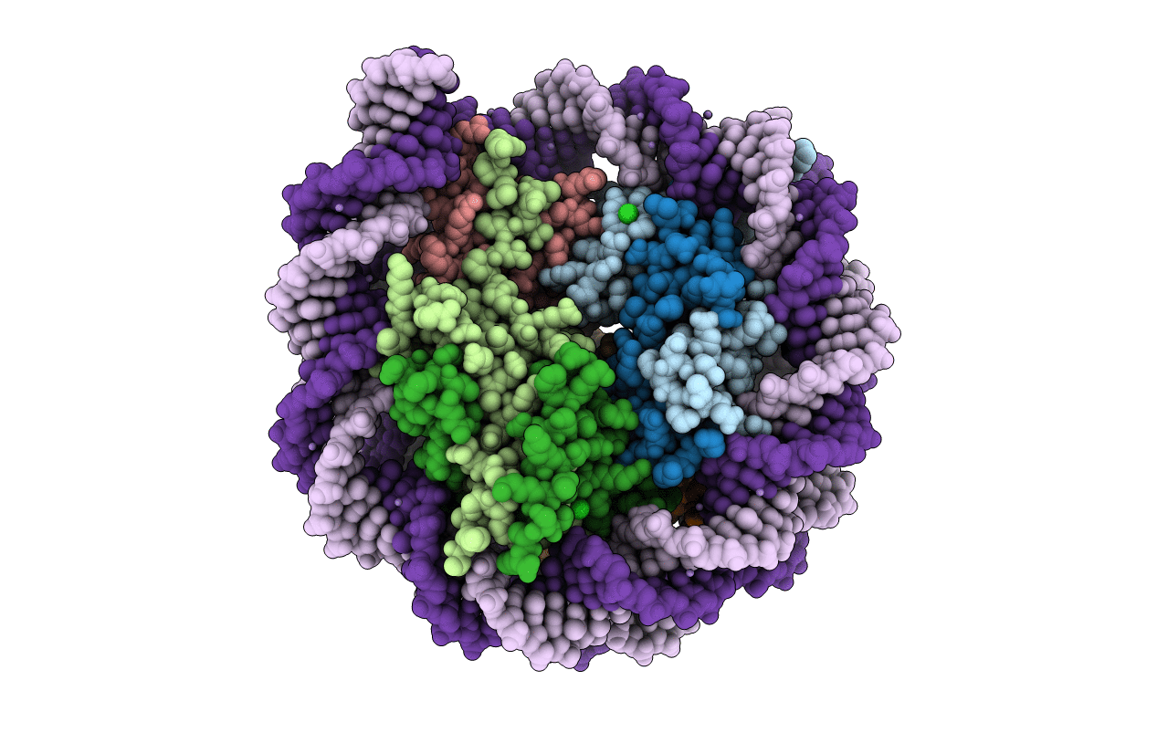 5OMX image
