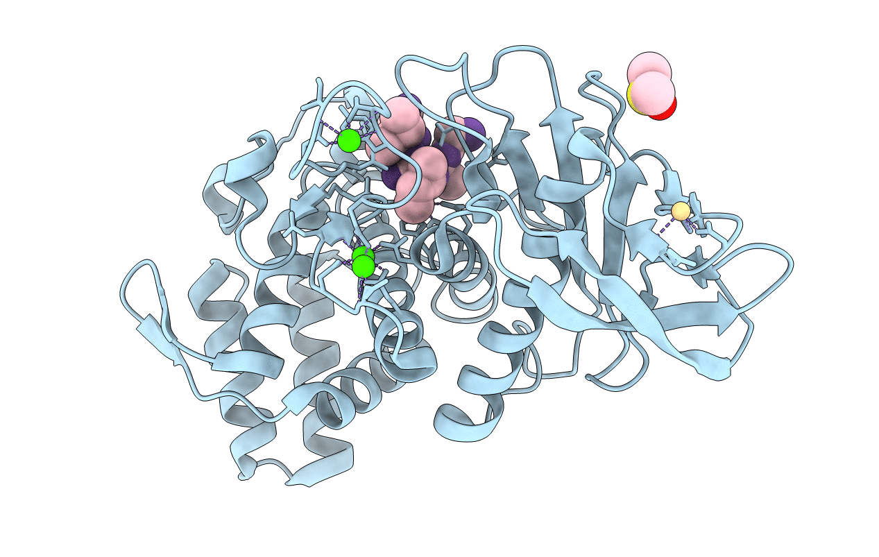 5ONP image