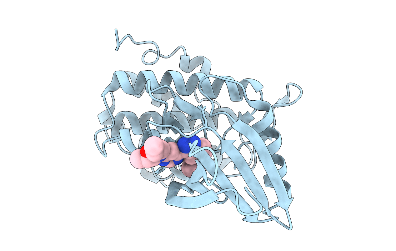 5OPB image