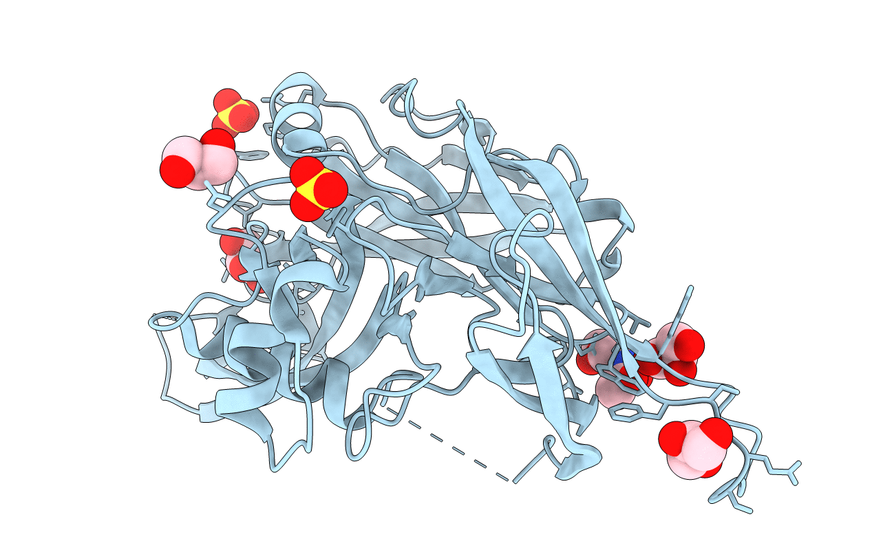 5OPG image