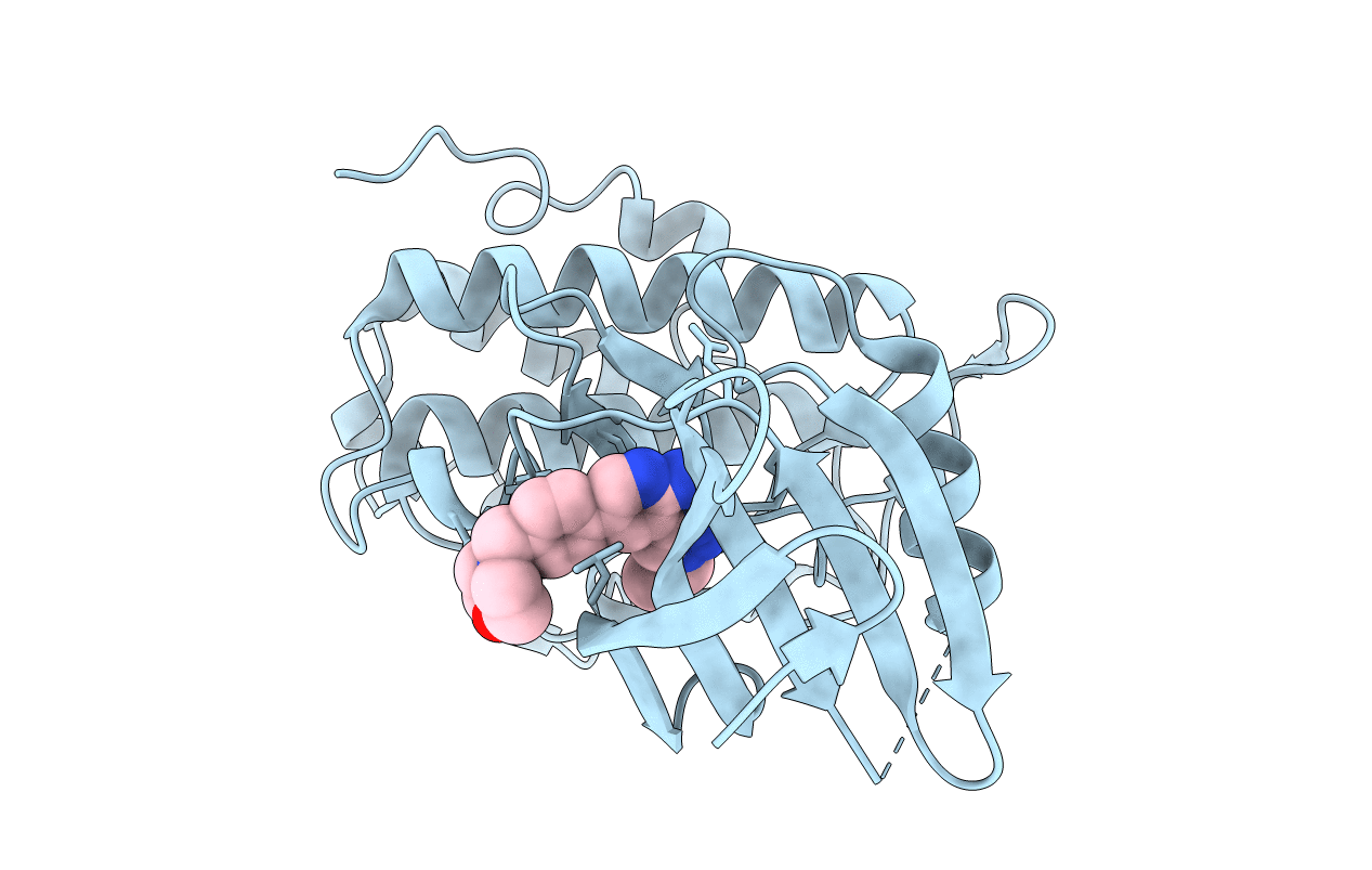 5OPR image