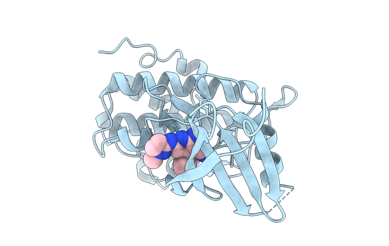 5OPV image