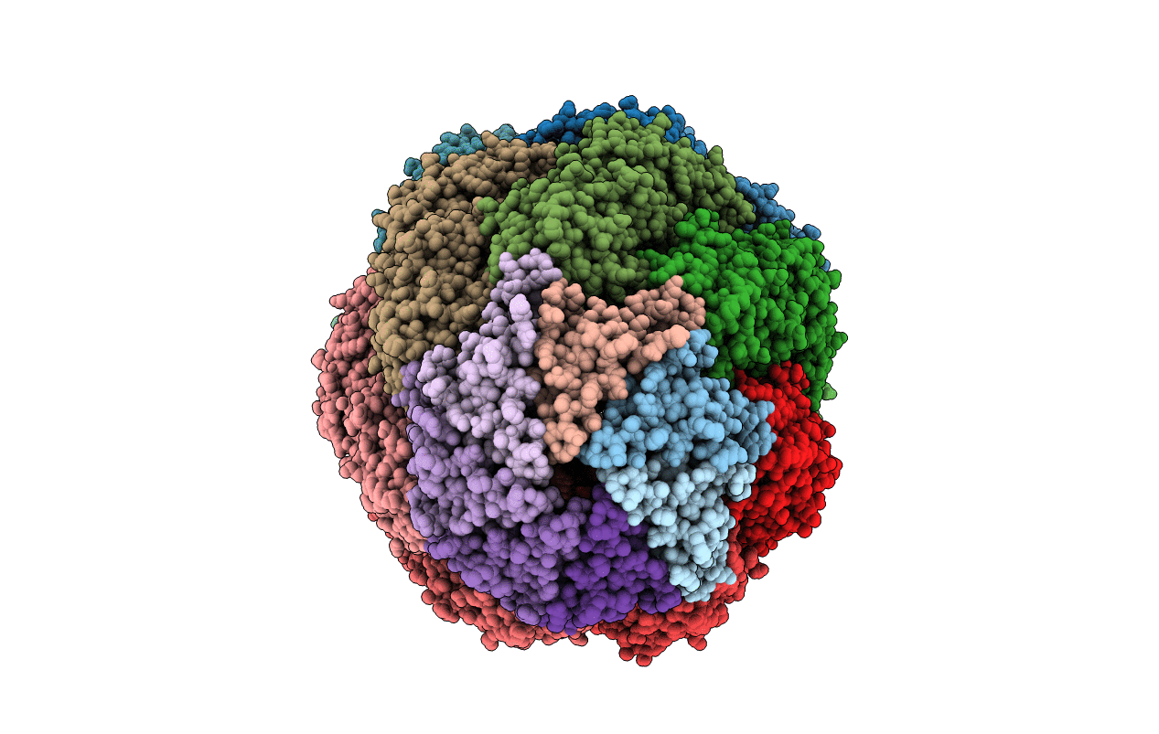 5OPX image
