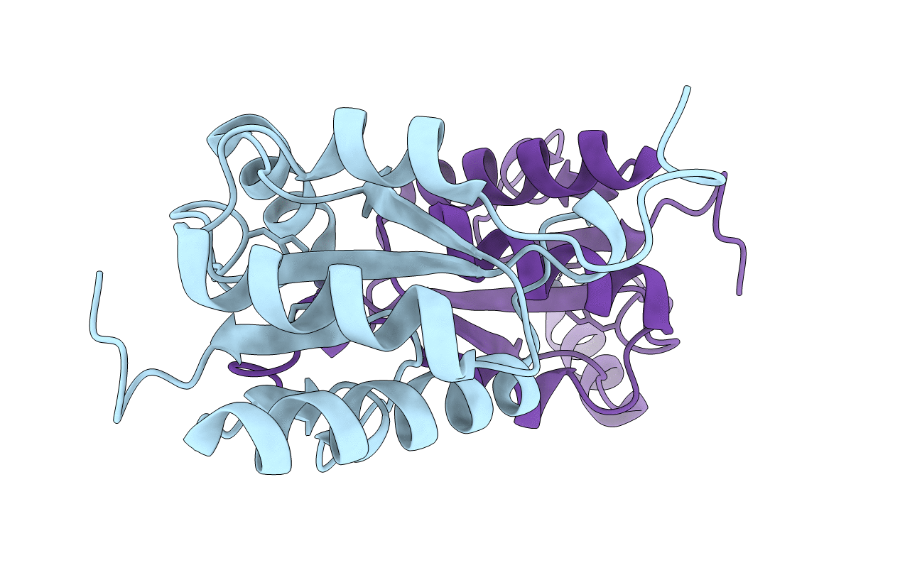 5OPZ image