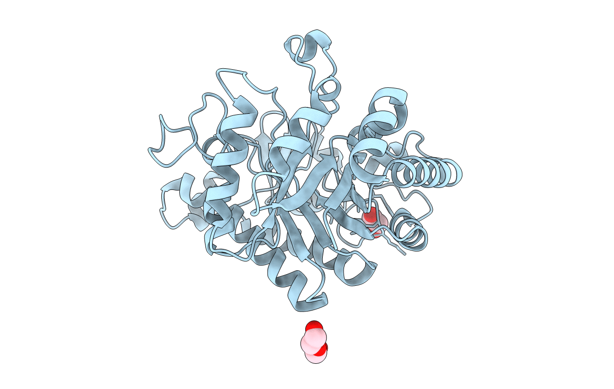5OQ3 image