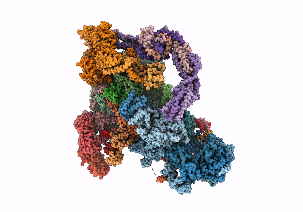 5OQM image