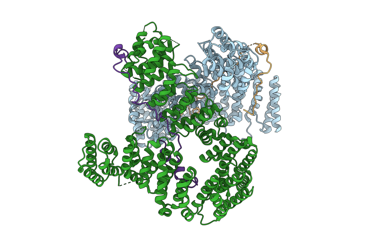 5OQR image