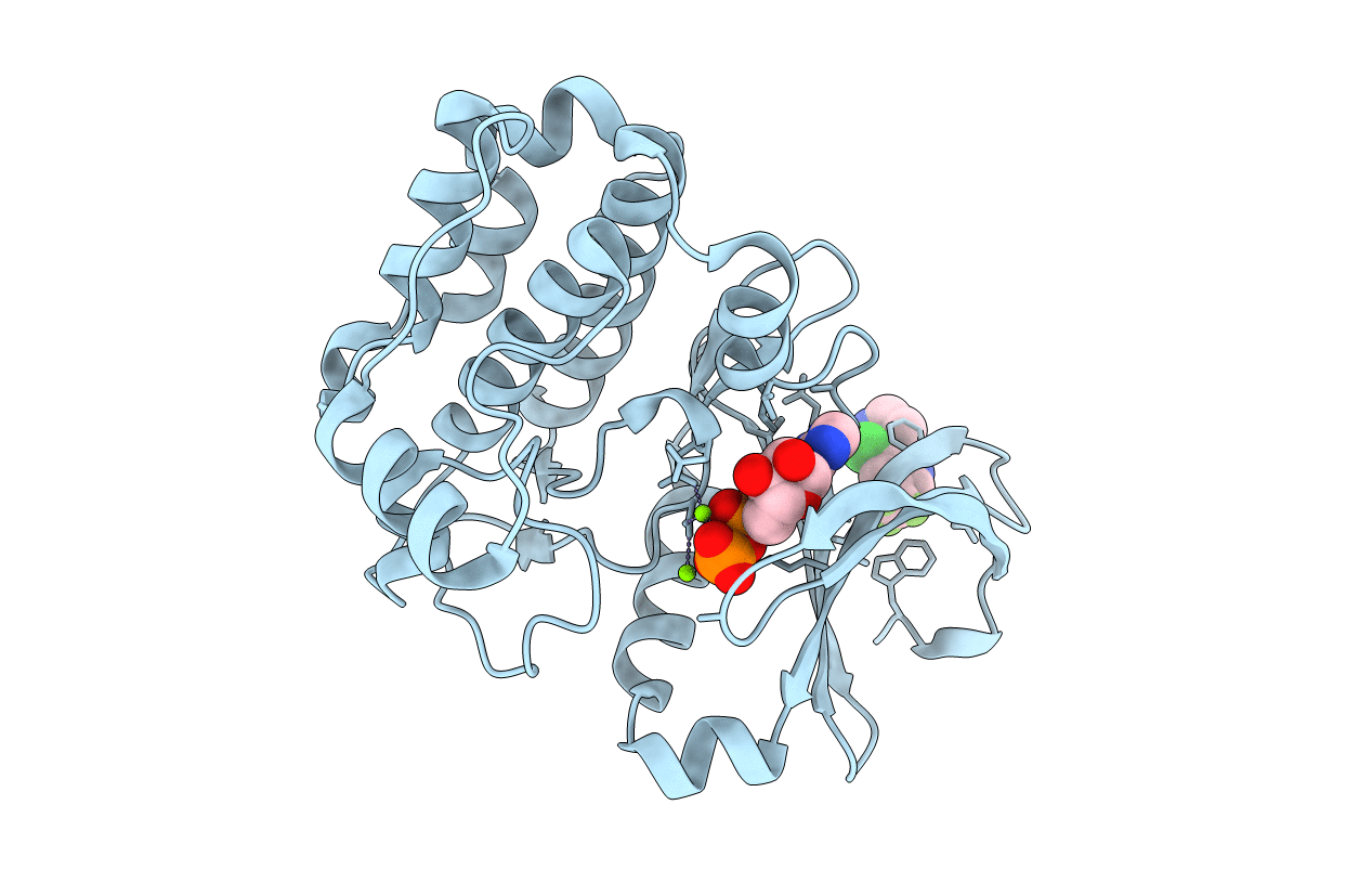 5ORP image