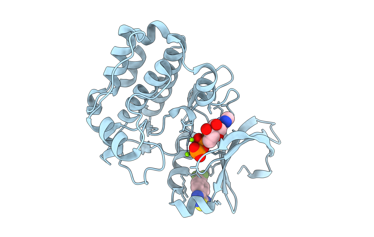 5ORR image