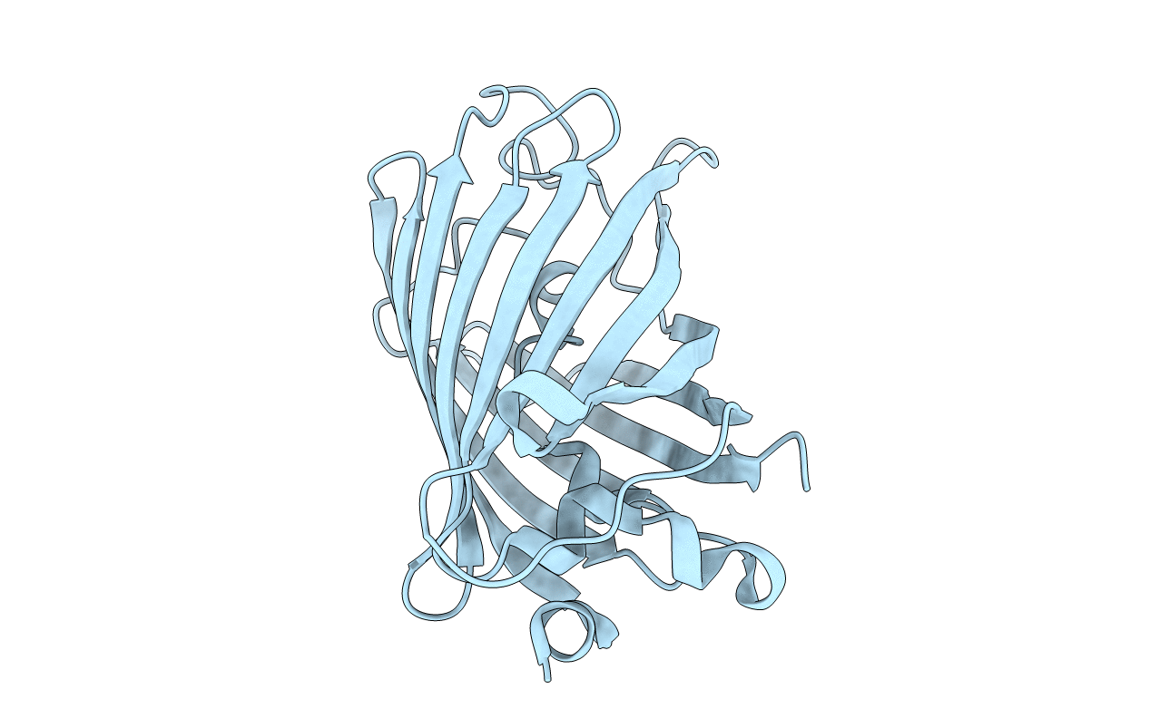5OXB image