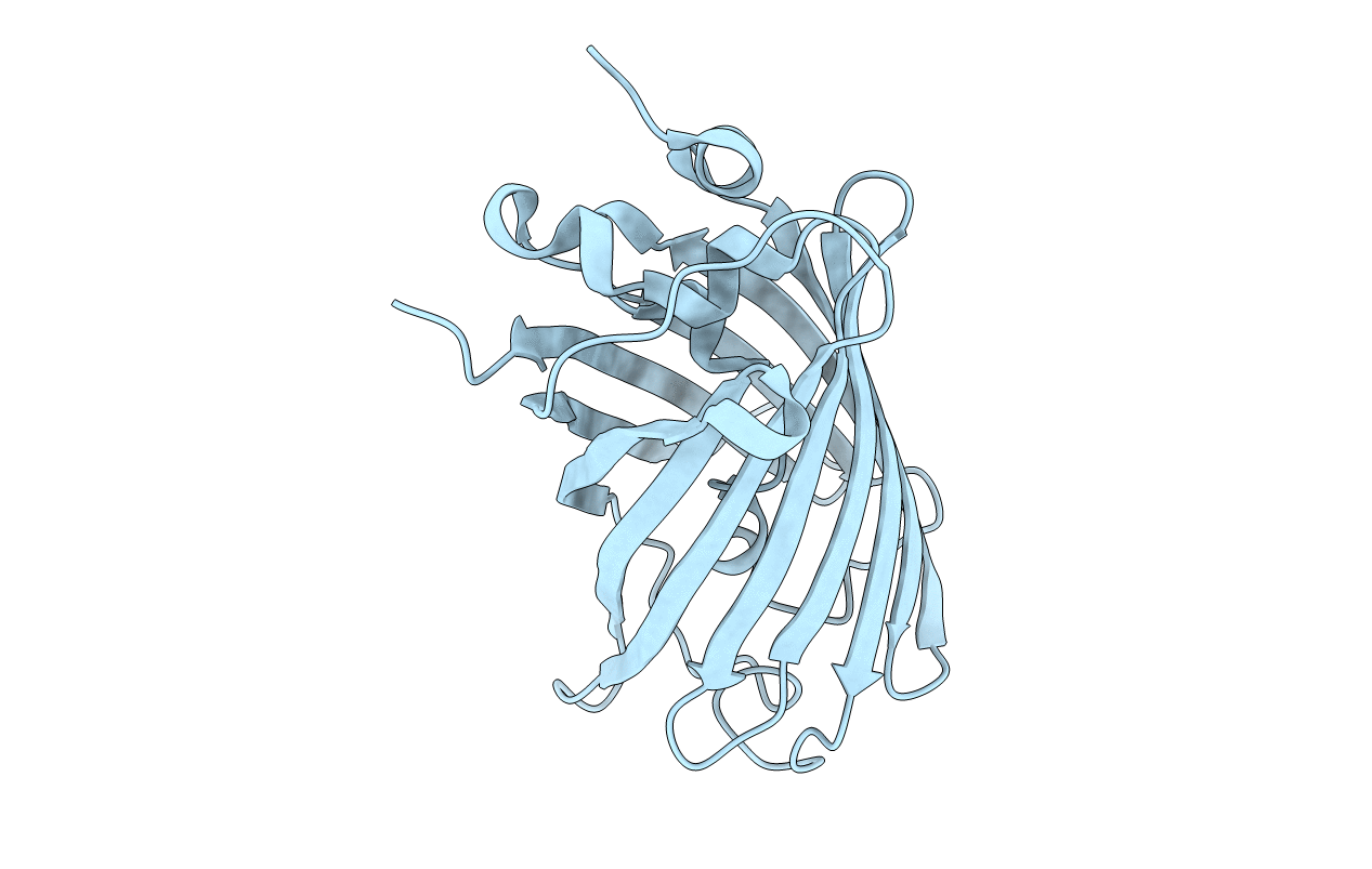 5OXC image