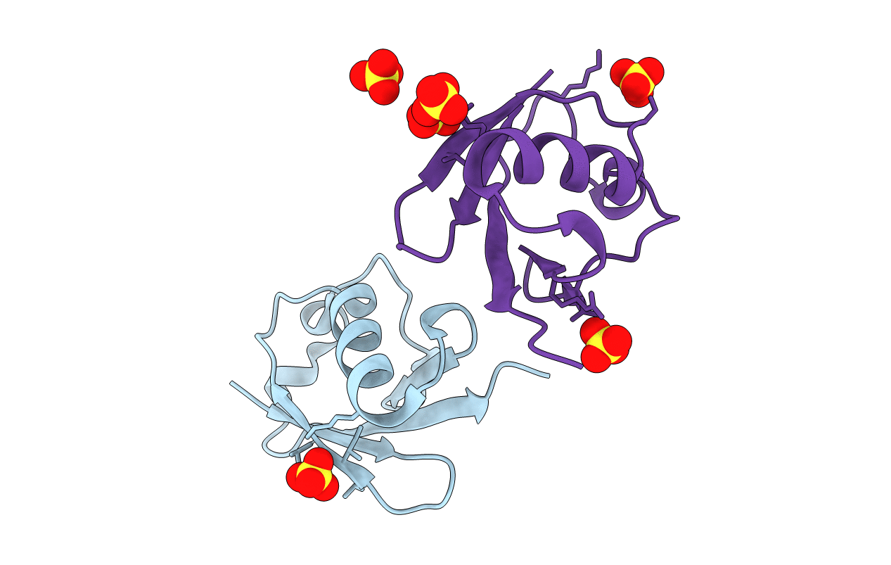 5OXI image