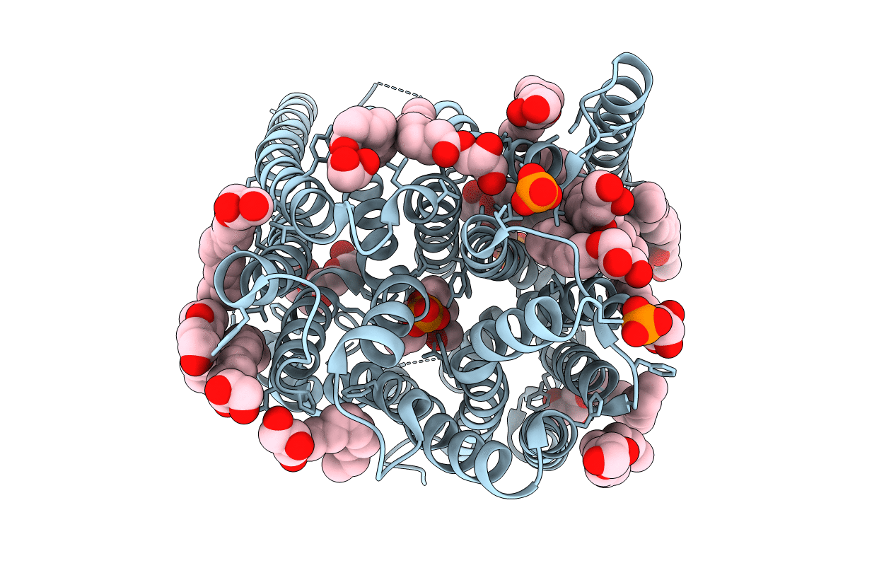 5OXP image
