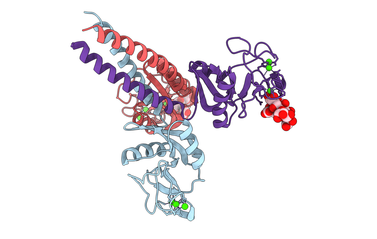 5OXR image