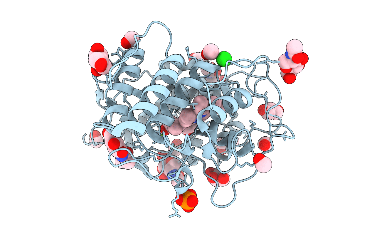 5OXU image
