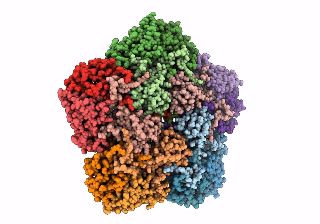 5OYI image