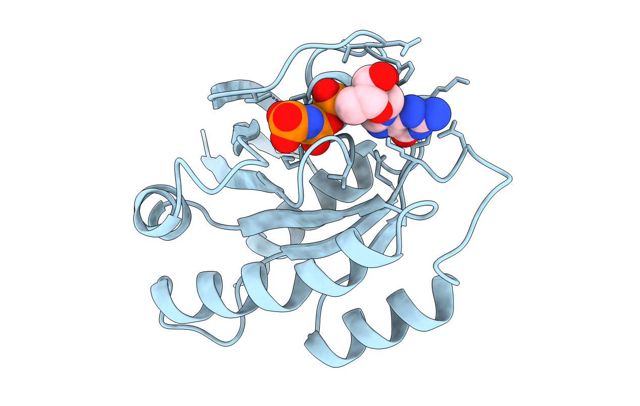 5P21 image