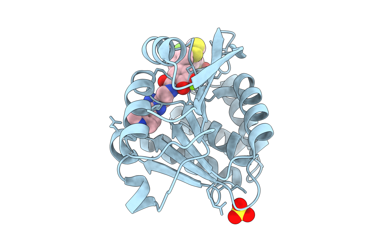 5P8X image