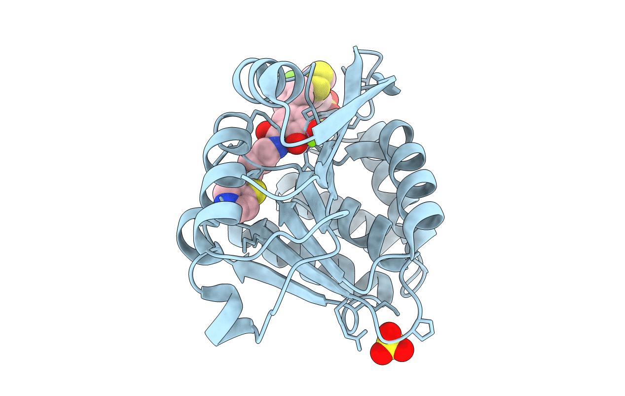 5P8Z image