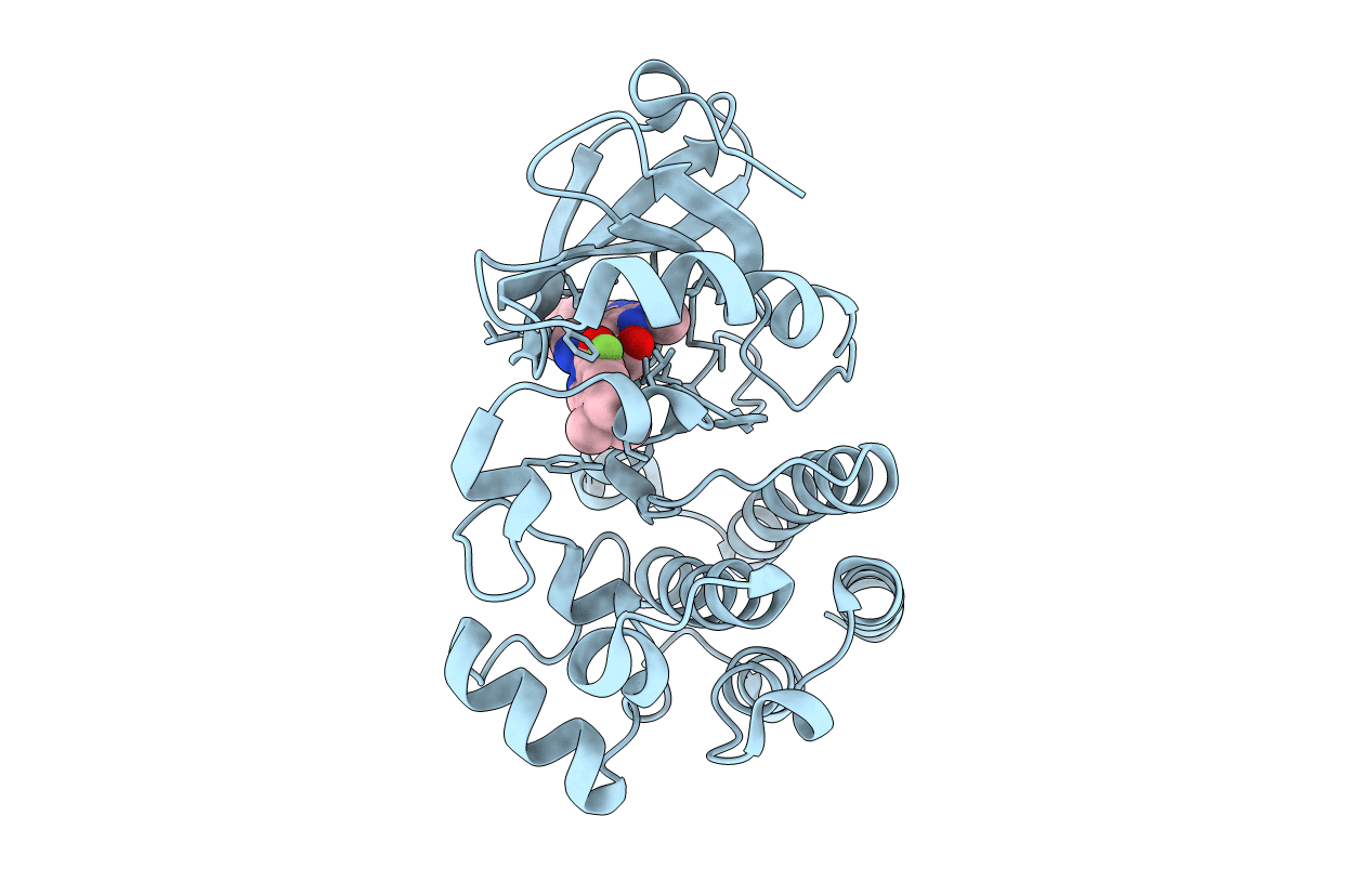 5P9H image