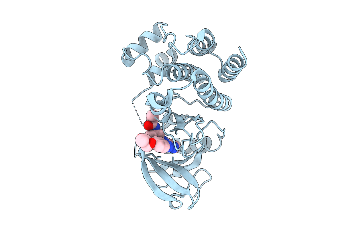 5P9L image