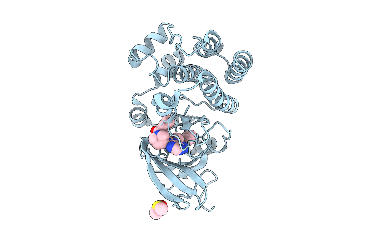 5P9M image