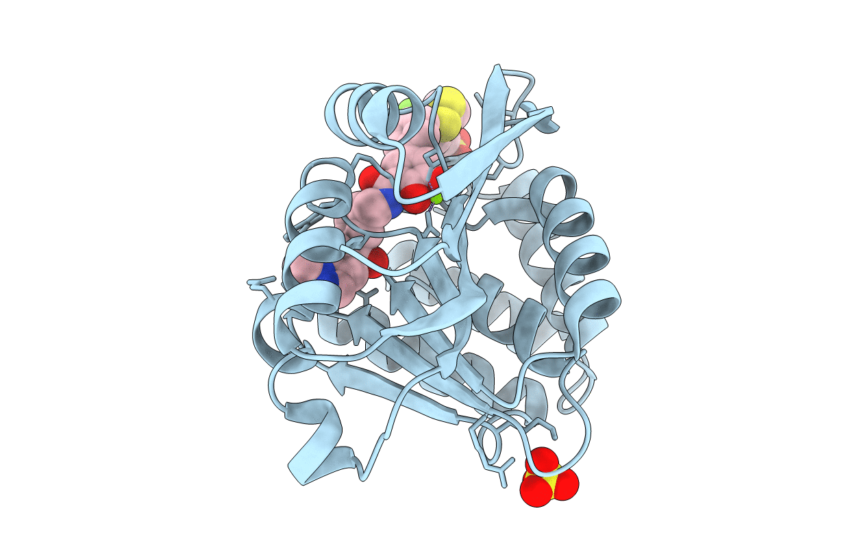 5P9N image