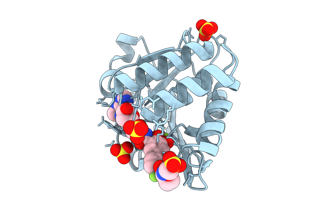 5P9W image