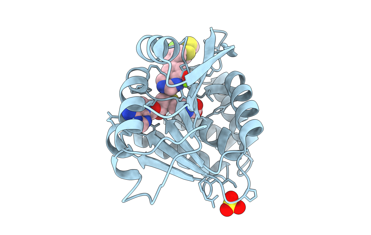 5P9Z image
