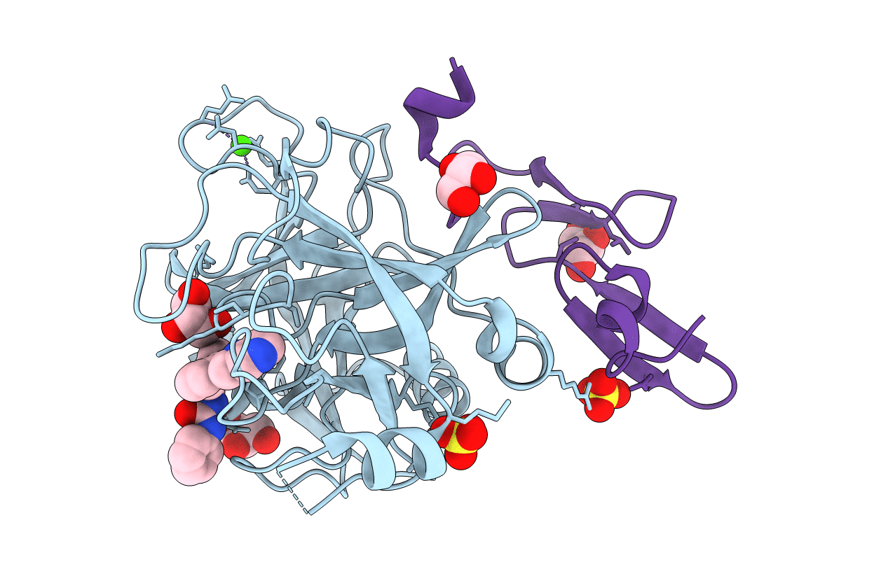5PAB image