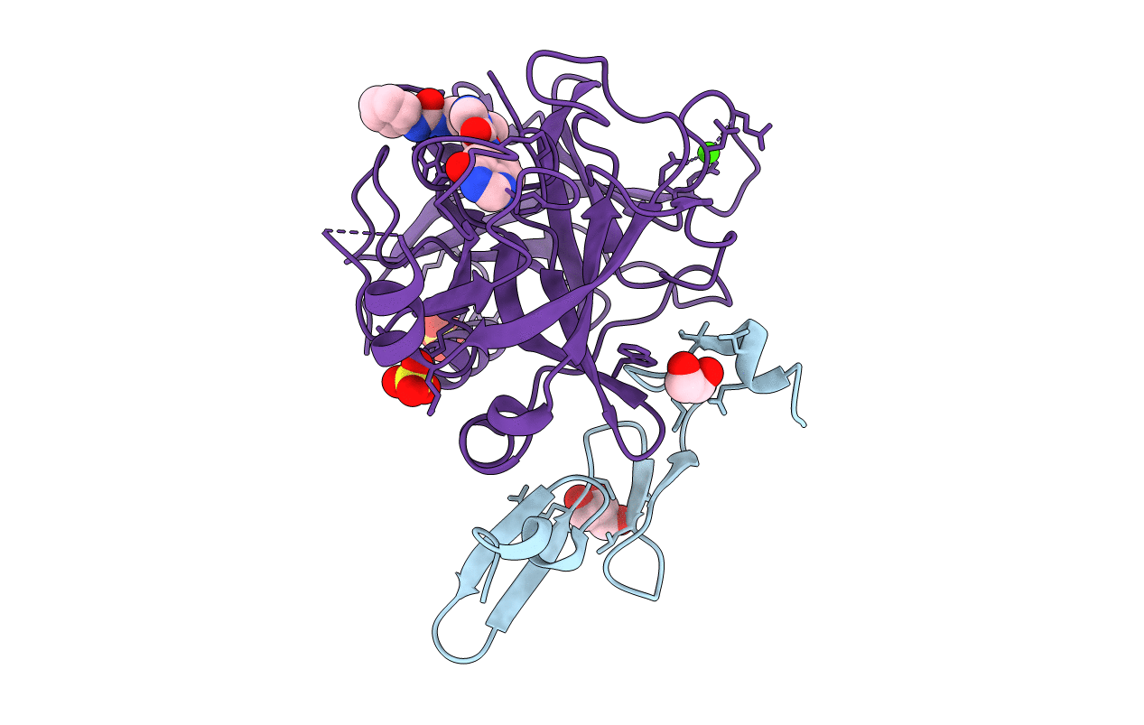 5PAC image