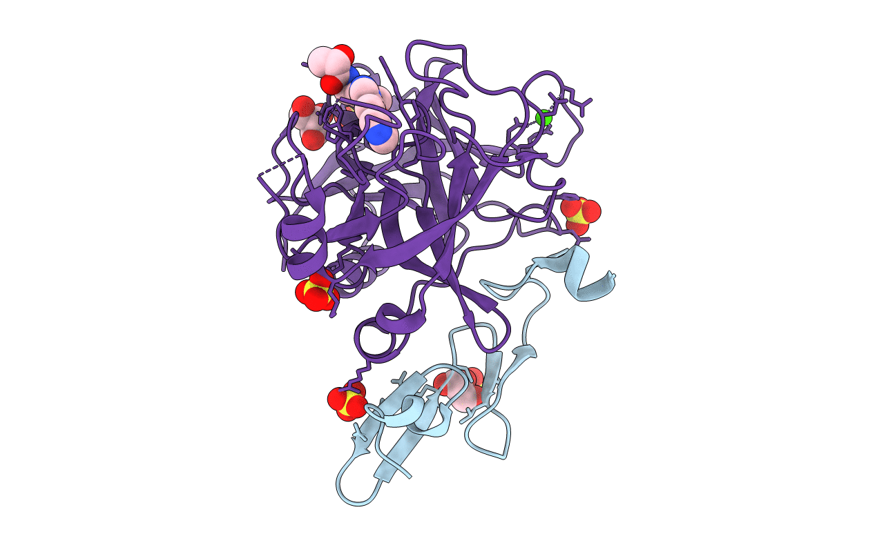 5PAE image